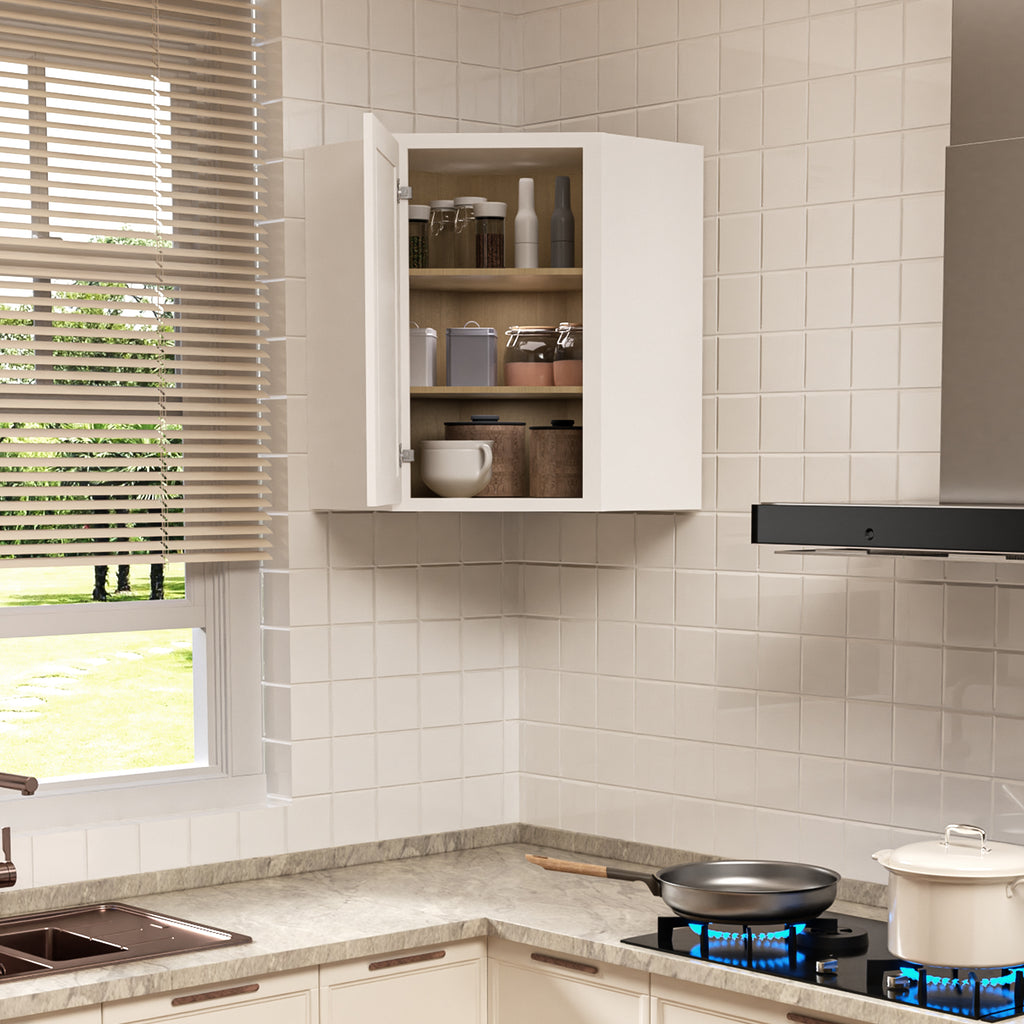 24 in. W x 24 in. D x 30 in. H Plywood Wall Corner Kitchen Cabinet in Shaker White