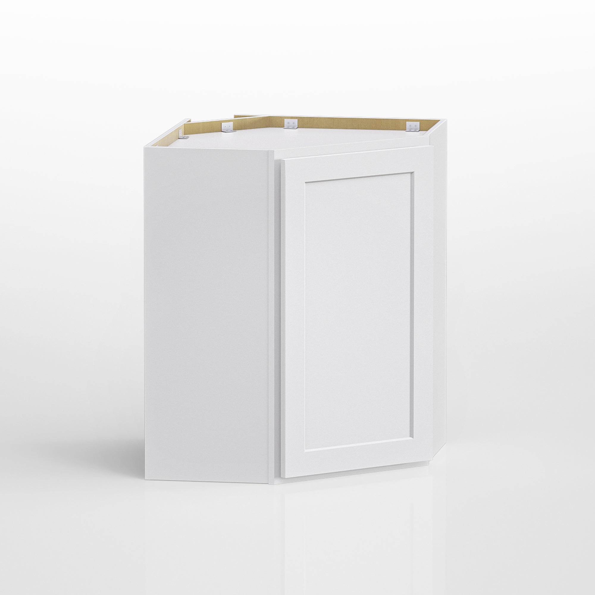 24 in. W x 24 in. D x 30 in. H Plywood Wall Corner Kitchen Cabinet in Shaker White