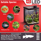 Fish Tank 4-Gallon Aquarium Set, Equipped with an Automatic Feeder, 8 Color Lighting Modes, an Automatic Three-in-one Silent Oxygen Pump, and a Temperature Display